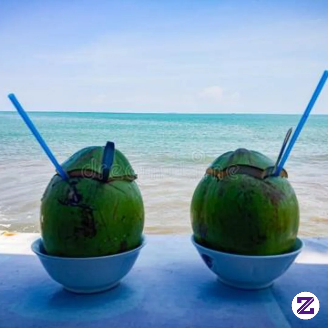 Judul: 🥥 Kelapa — Pohon Kehidupan, Segala Bagiannya Bermanfaat!