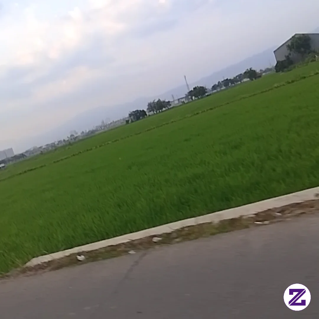 Gambar Pagi Yang Cerah kategori Umum dipublikasikan oleh Bangbang Bung di Zoyalink