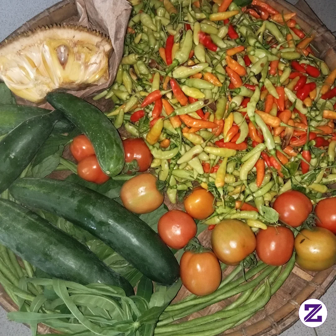 Sayur Mayur Dari Lahan Pedesaan🤤