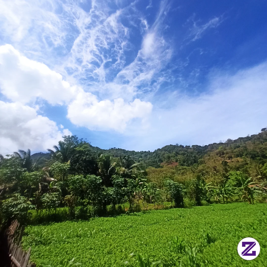 Langit Biru Dan Daun Daun Yang Hijau