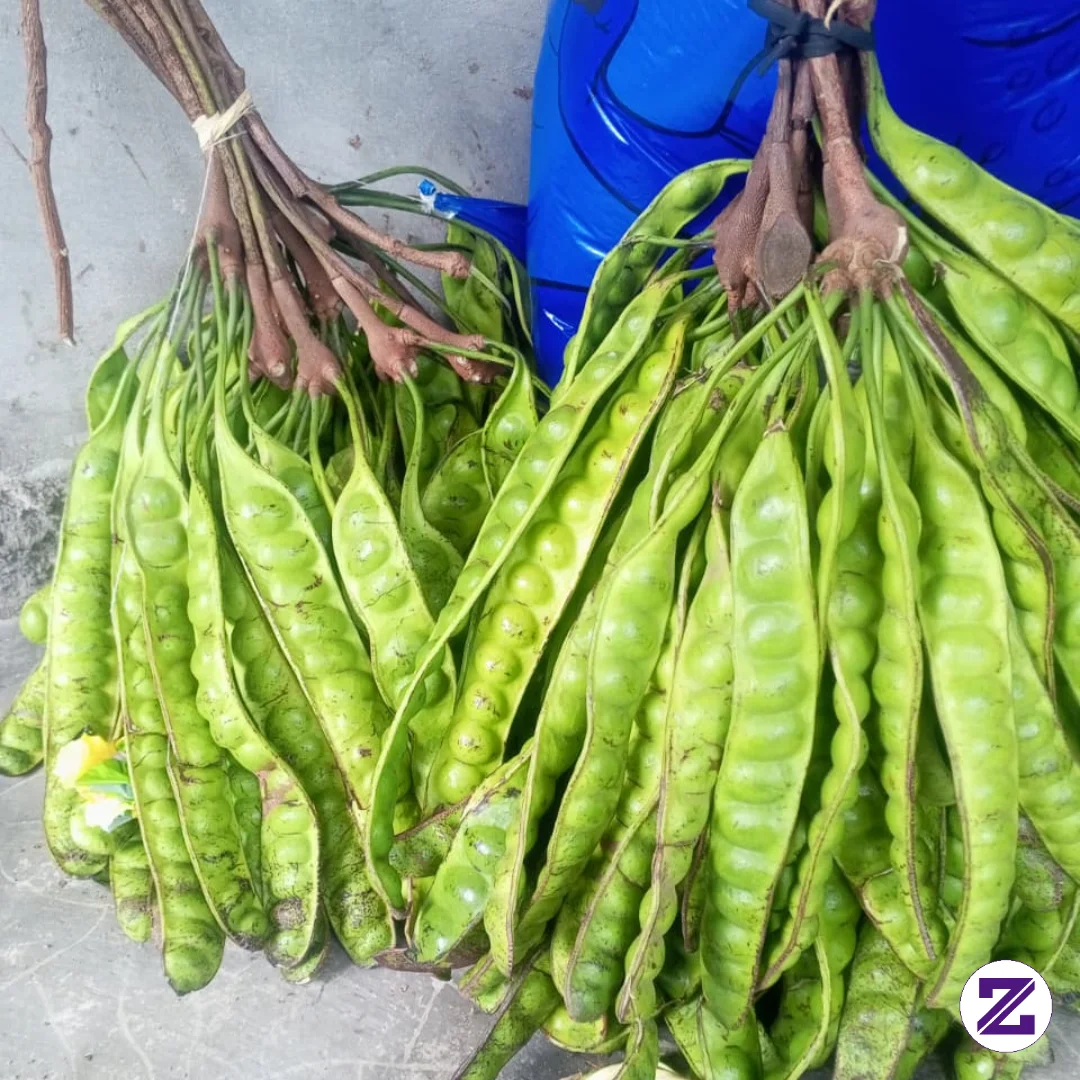 Enaknya Di Masak Apa Yah Petenya.siang Semuanya Mari Berteman