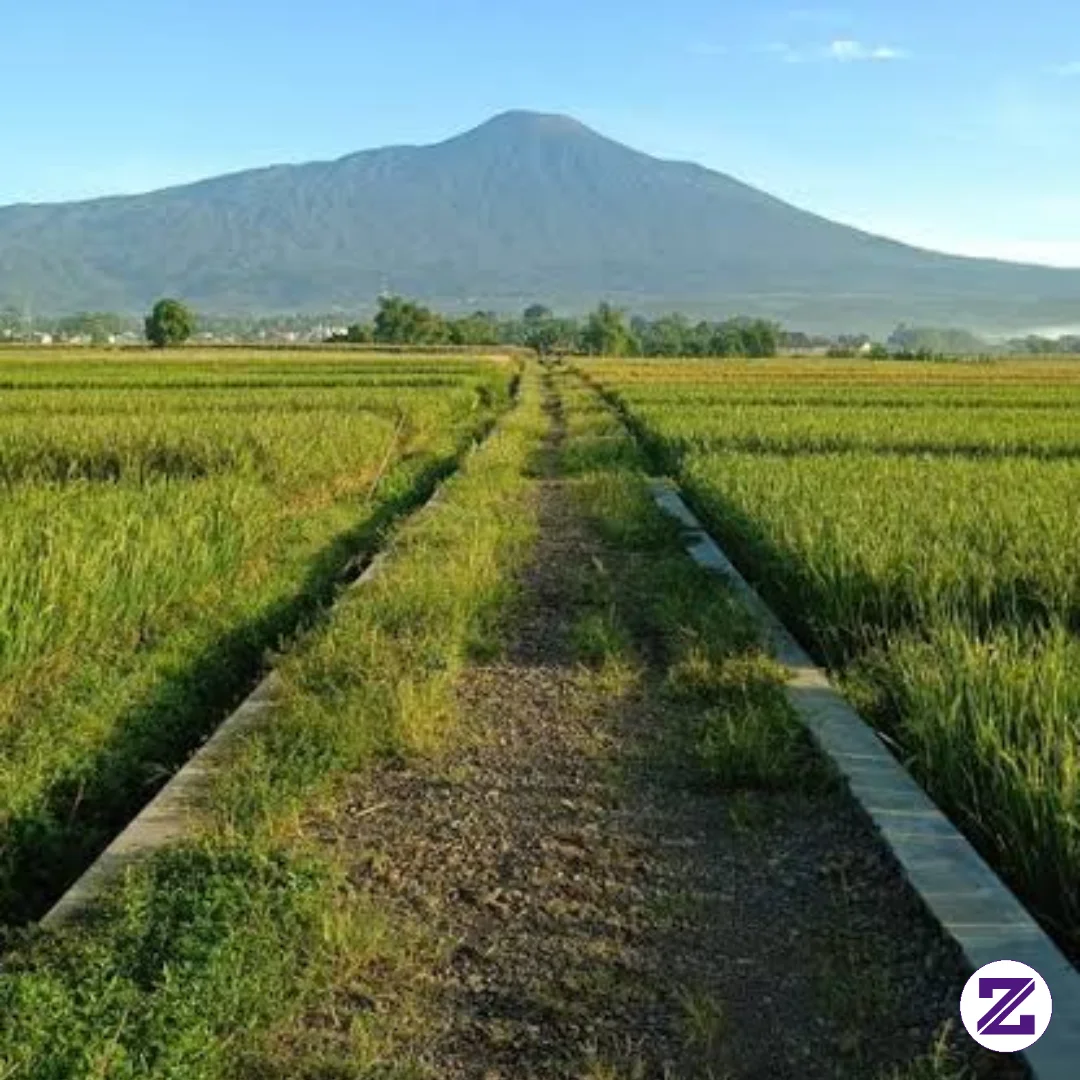 Pemandangan Alam Yang Begitu Indah