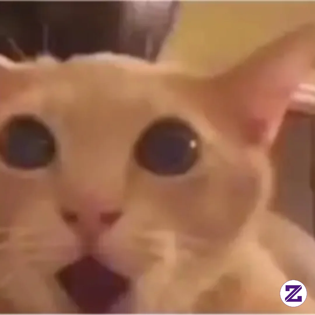 Ooooooooooooooooooooooo