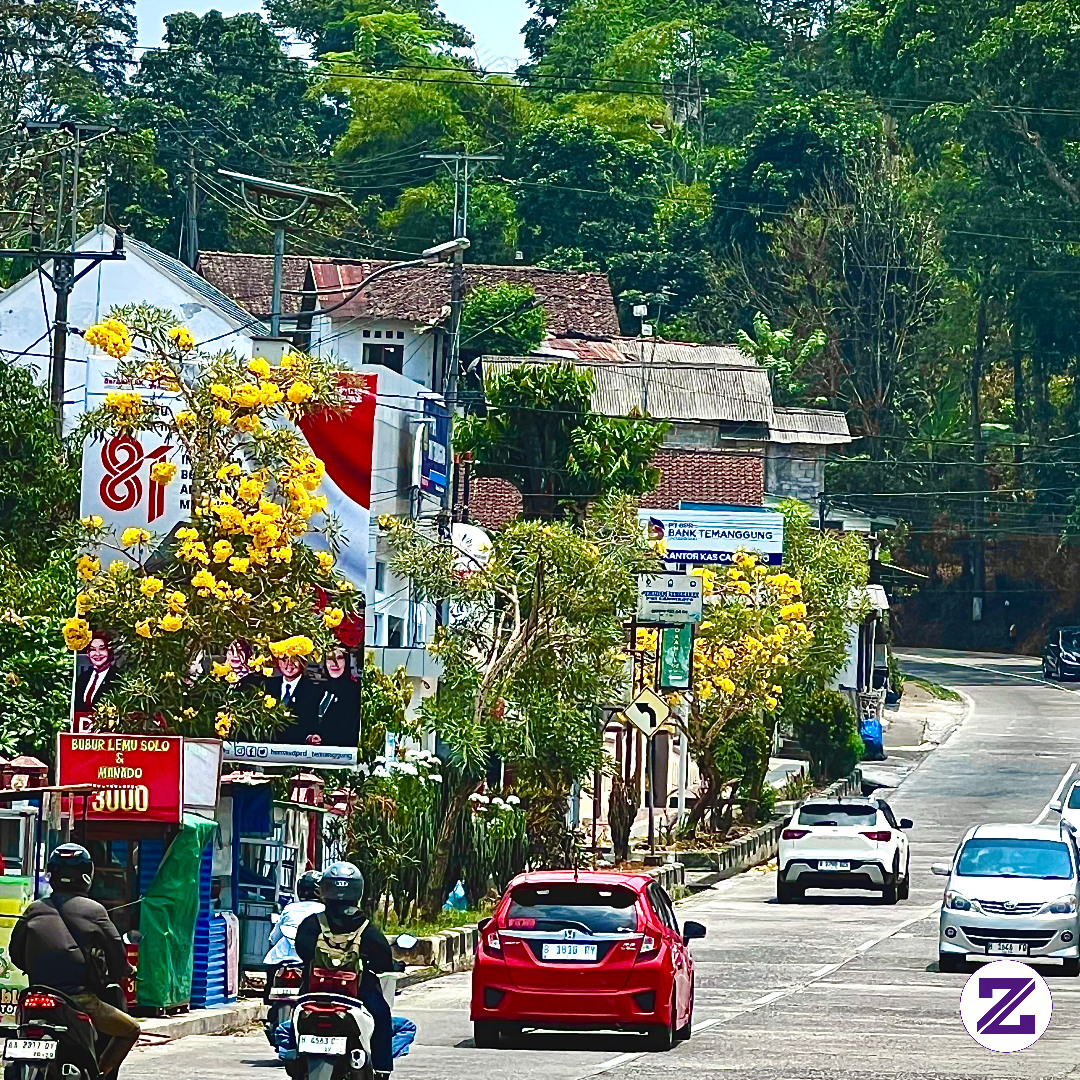 Bunga Bunga Sudah Mulai Mekar