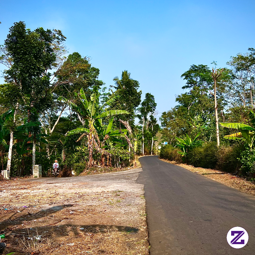 Suasana Jalan Pedesaan Yang Masih Asri