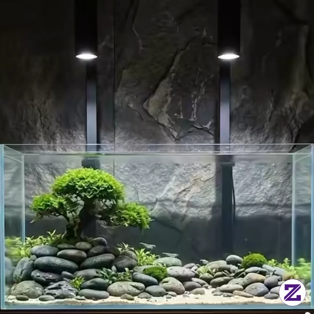 Rekomendasi Settingan Tank Aquascape Untuk Ikan Kesayangan