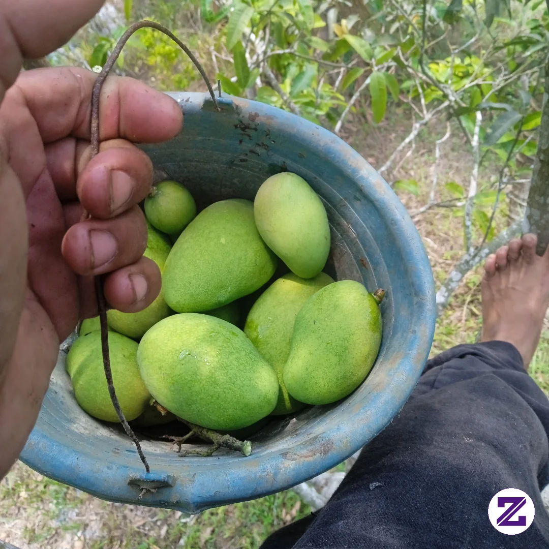 Ngebolang Baraya