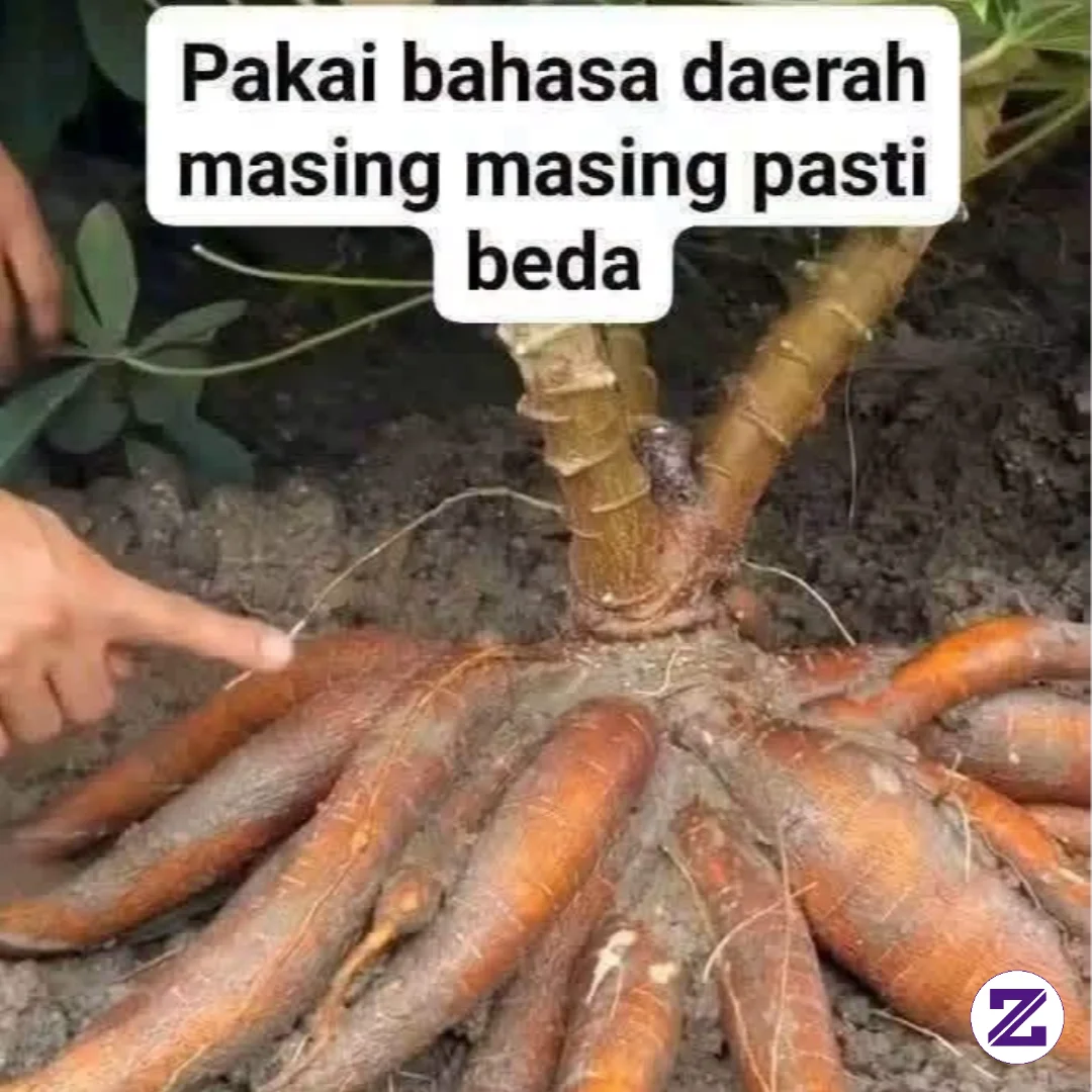 Sampe Adalah Makanan Vaforit Orang Sunda