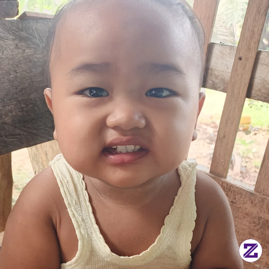 Klw Mau Cepat Dapat Dolar Di ZOyalink Lakukan 3 Hal Ini !