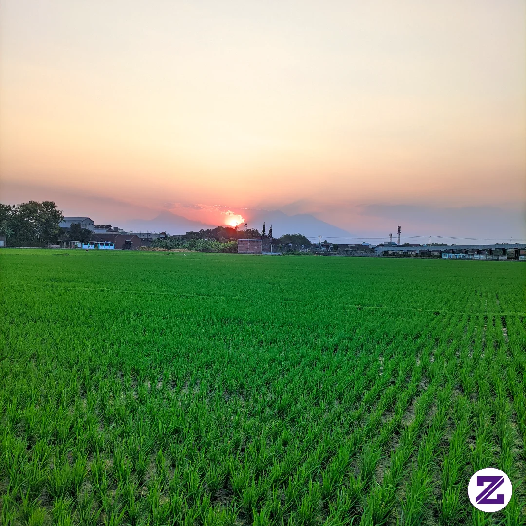 Suatu Sore Diujung Hari #zoya #sunset