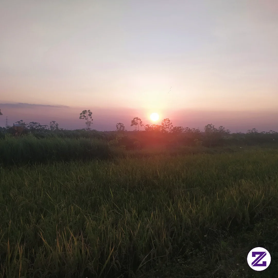 Pemandangan Pagi Hari Yang Menyegarkan