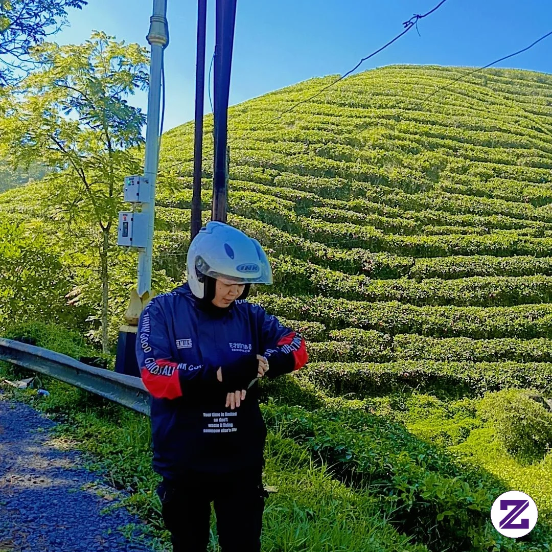 Keindahan Kebun Teh Hijau