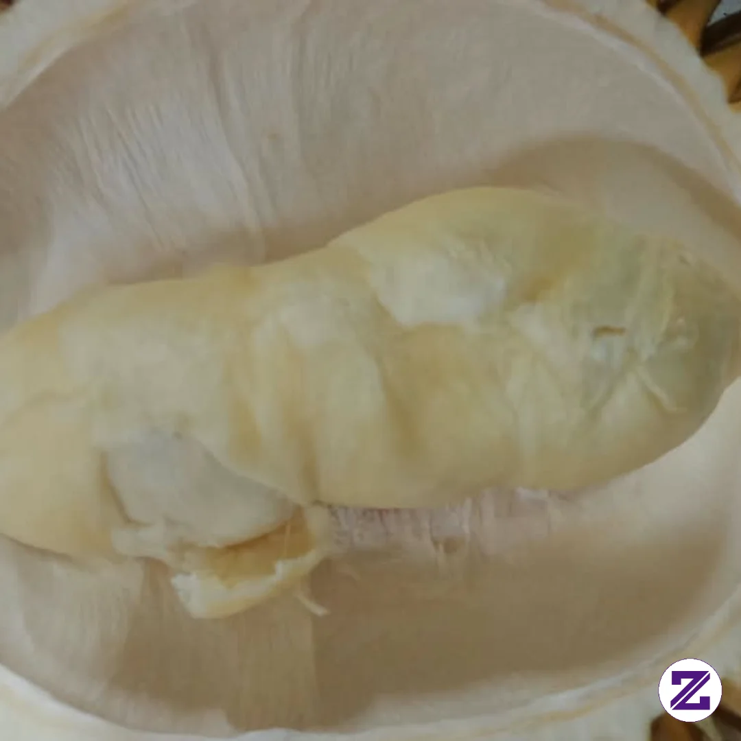 Makan Durian Dulu