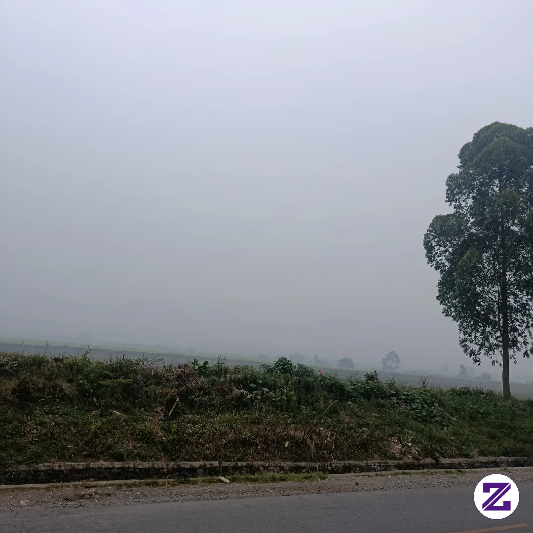 Baru Gabung, Masih Bingung Caranya,
