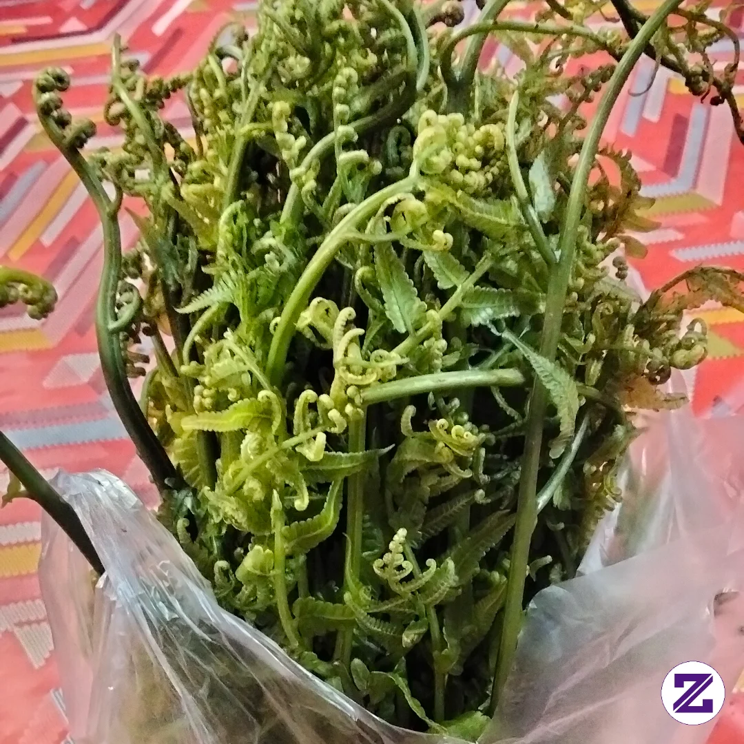 Sayur Pakis/paku