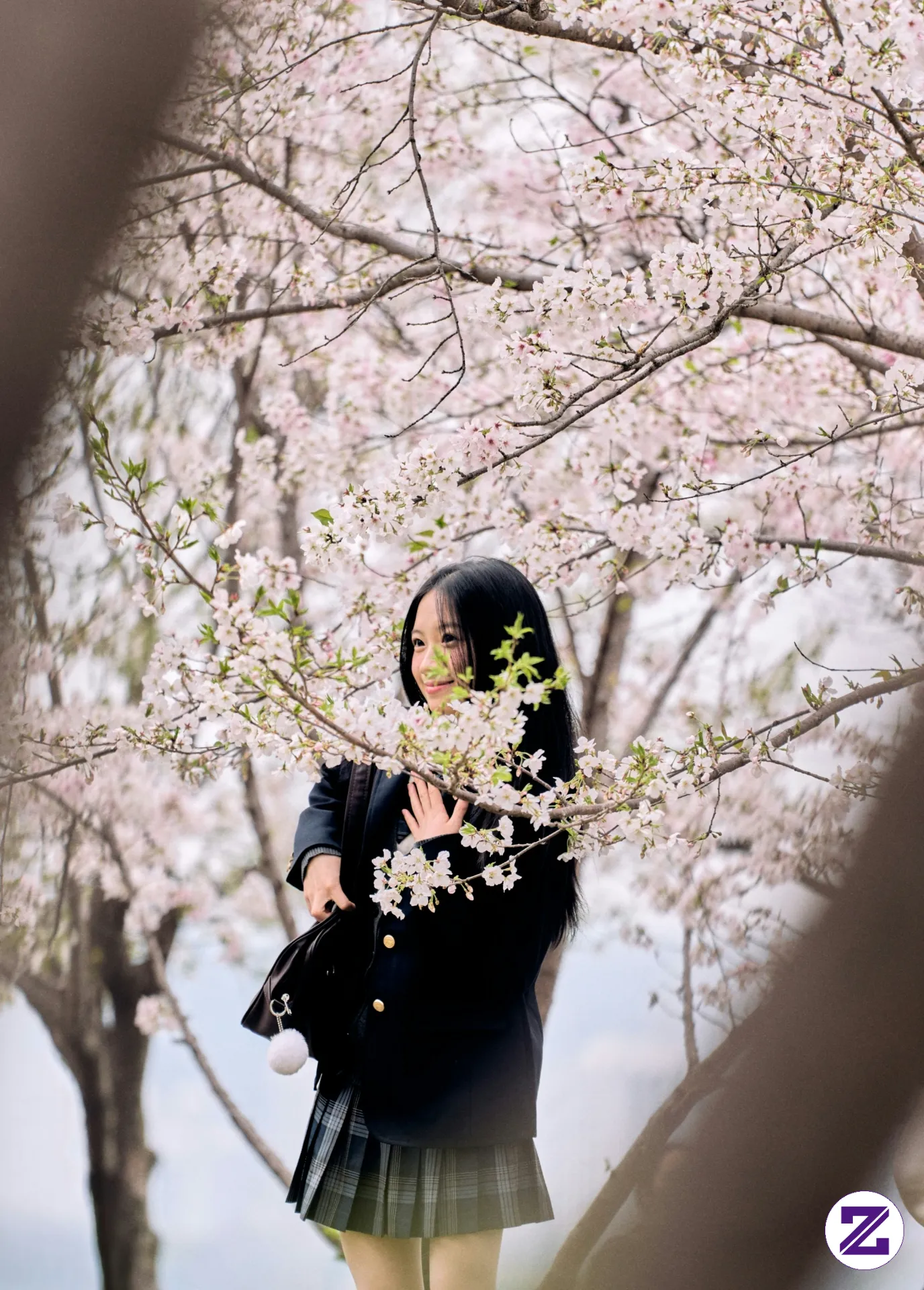 Berwisata Di Negeri Sakura