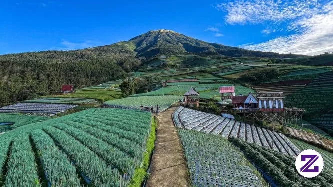Fakta Gunung Sumbing, Jalur Menantang dengan Lanskap Megah di Jawa Tengah