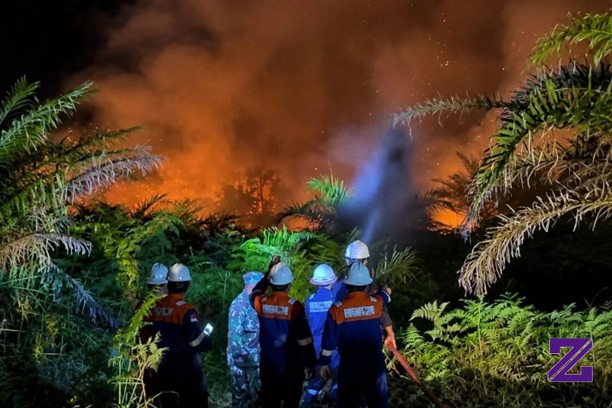 Karhutla di Siak Merambat ke Kawasan Taman Nasional Zamrud