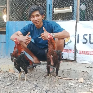Ridwan Jago