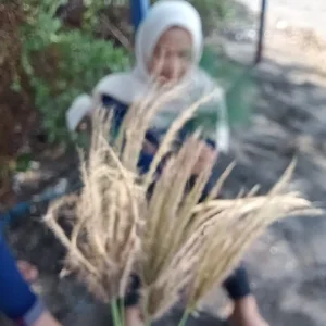 Inka