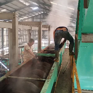 Septyadi Febbry