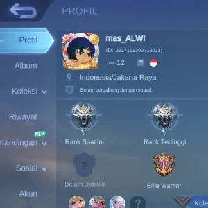 Alwi