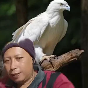 Slamet Setiono