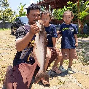 Habib Permata Loka