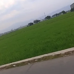 Bangbang Bung