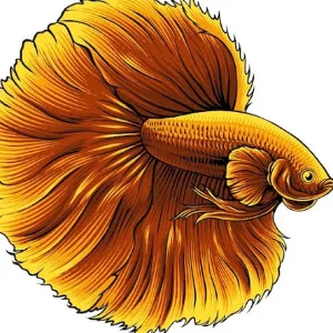 Dioajipermadi
