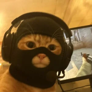 Rendyn