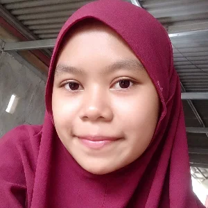 Erni Aulia