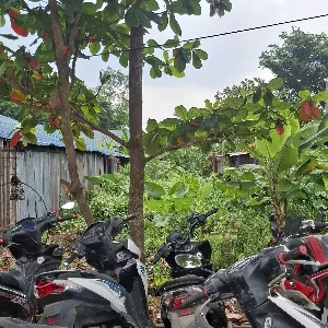 Rendi Satria