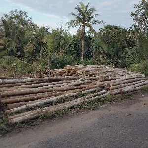 Suprayogi