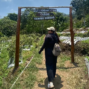 Tesa Mira Perdana