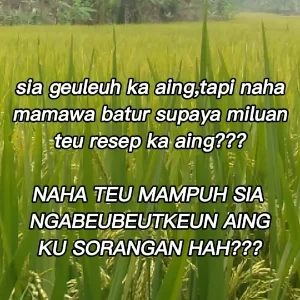 Mulyadi