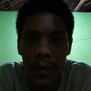 Erik Budi Hartono