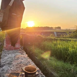 Bakol Kopi