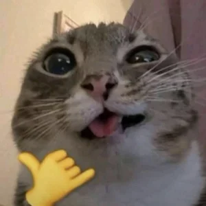 Gunazoy