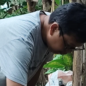 Sujana Amri