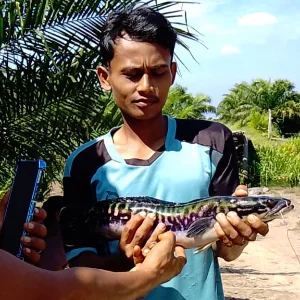 Teguh Pranata