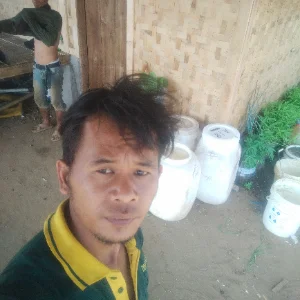 Muhammad Nurfadli Fadli