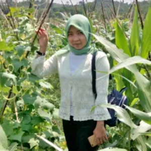 Arsi