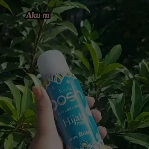 Soleh Lehz