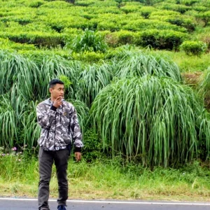 Herdiansyah Permana