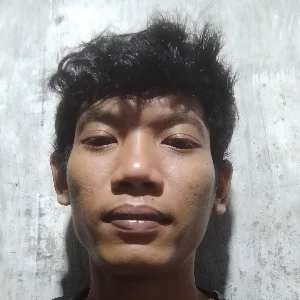 Dino Dinoo