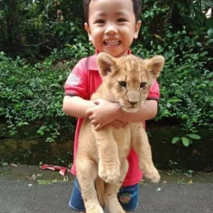 Budi Irawan