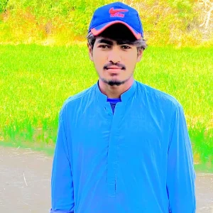 Syed Anwar Ail