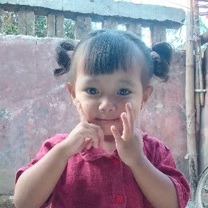 Ahmad Jamil Islami