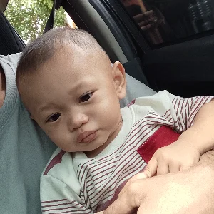 Arman Maula